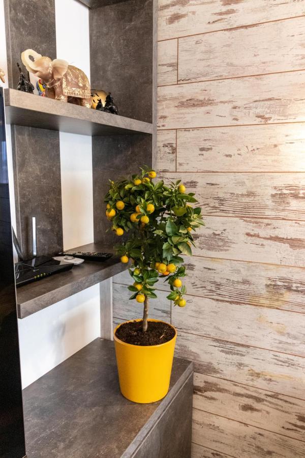 Tampa View Premium Apartment Brasov Bagian luar foto
